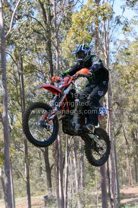 444x677 pixels (98K)